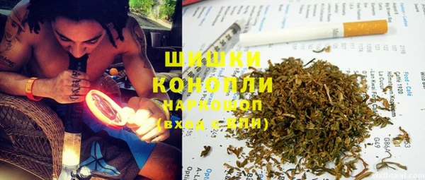 сатива Абинск