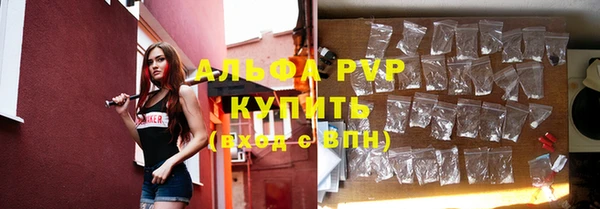 сатива Абинск