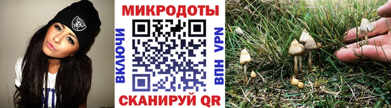 Псилоцибиновые грибы GOLDEN TEACHER  mega   Электроугли  это состав  где можно купить наркотик 